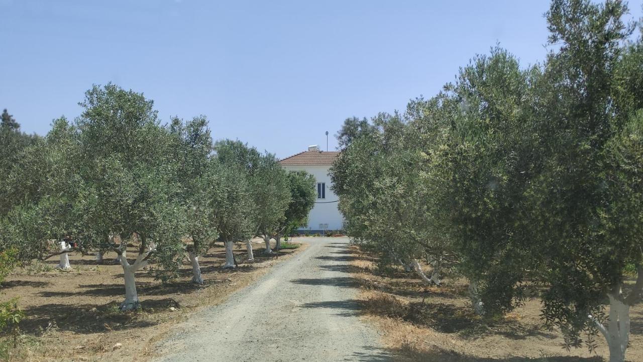 Kiti Village Villa, Cyprus, Salt-Water Pool, 6 Bedrooms, Larnaca Экстерьер фото